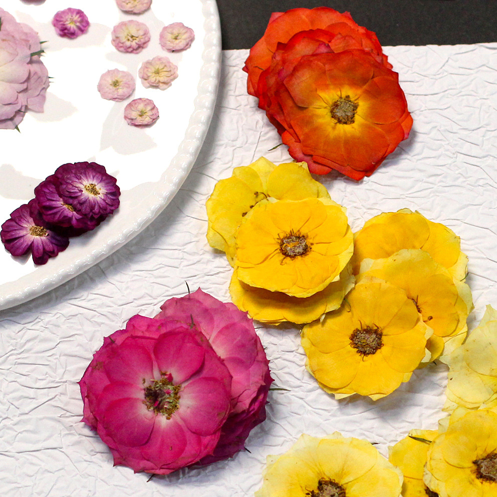 ดอกกุหลาบแท้สีเหลืองขนาดต่างๆ  - Resin Craft Ideas บทวิจารณ์และราคา