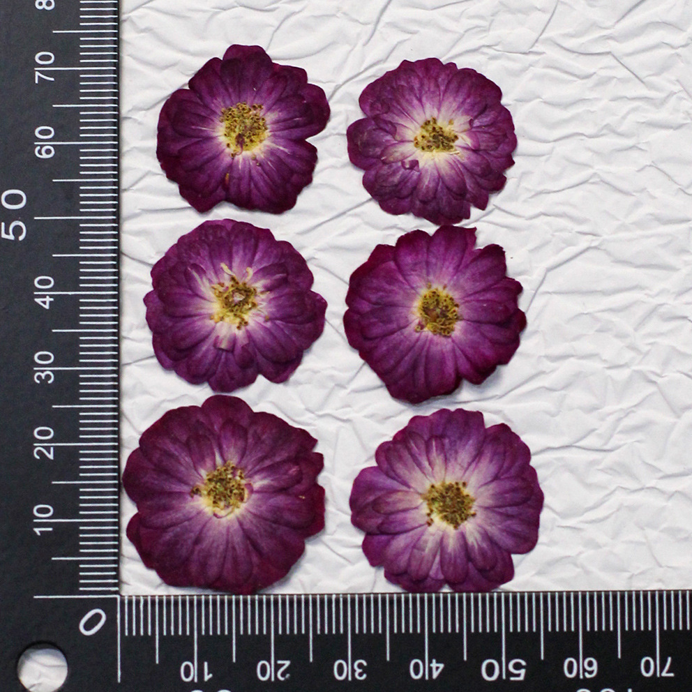 ดอกกุหลาบแท้สีเหลืองขนาดต่างๆ  - Resin Craft Ideas บทวิจารณ์และราคา
