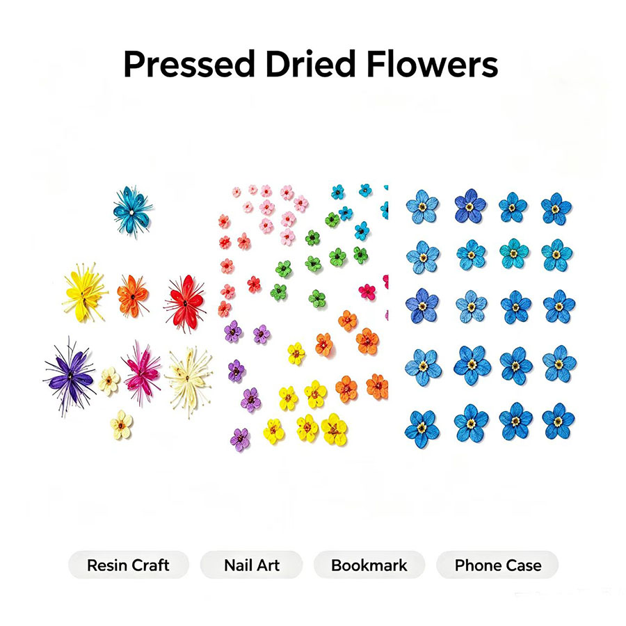 ดอกไม้แห้งขนาดเล็ก 60 ชิ้น – อ - Resin Craft Ideas บทวิจารณ์และราคา