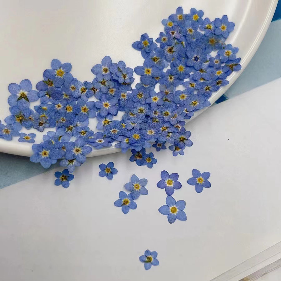 ดอกไม้แห้งขนาดเล็ก 60 ชิ้น – อ - Resin Craft Ideas บทวิจารณ์และราคา